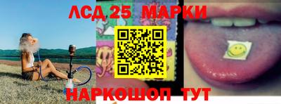 прущие грибы Сланцы