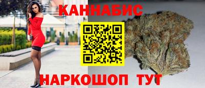 прущие грибы Сланцы