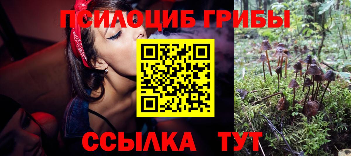 Галлюциногенные грибы Psilocybe  Вход с VPN  Подольск 